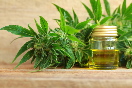 FDA Requires More Data For Regulations Related To Hemp Derived CBD