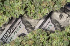 Five American Cannabis Stocks With Higher Returns In 2019