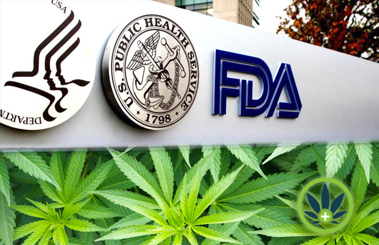 Not In Hurry To Craft CBD Exclusions Amid Safety Concerns FDA official