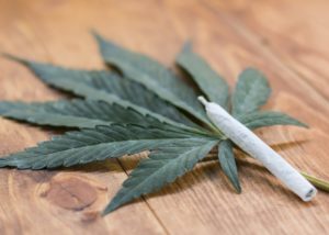 Inquiry Launched By Australian Government Regarding Use Of Medical Cannabis