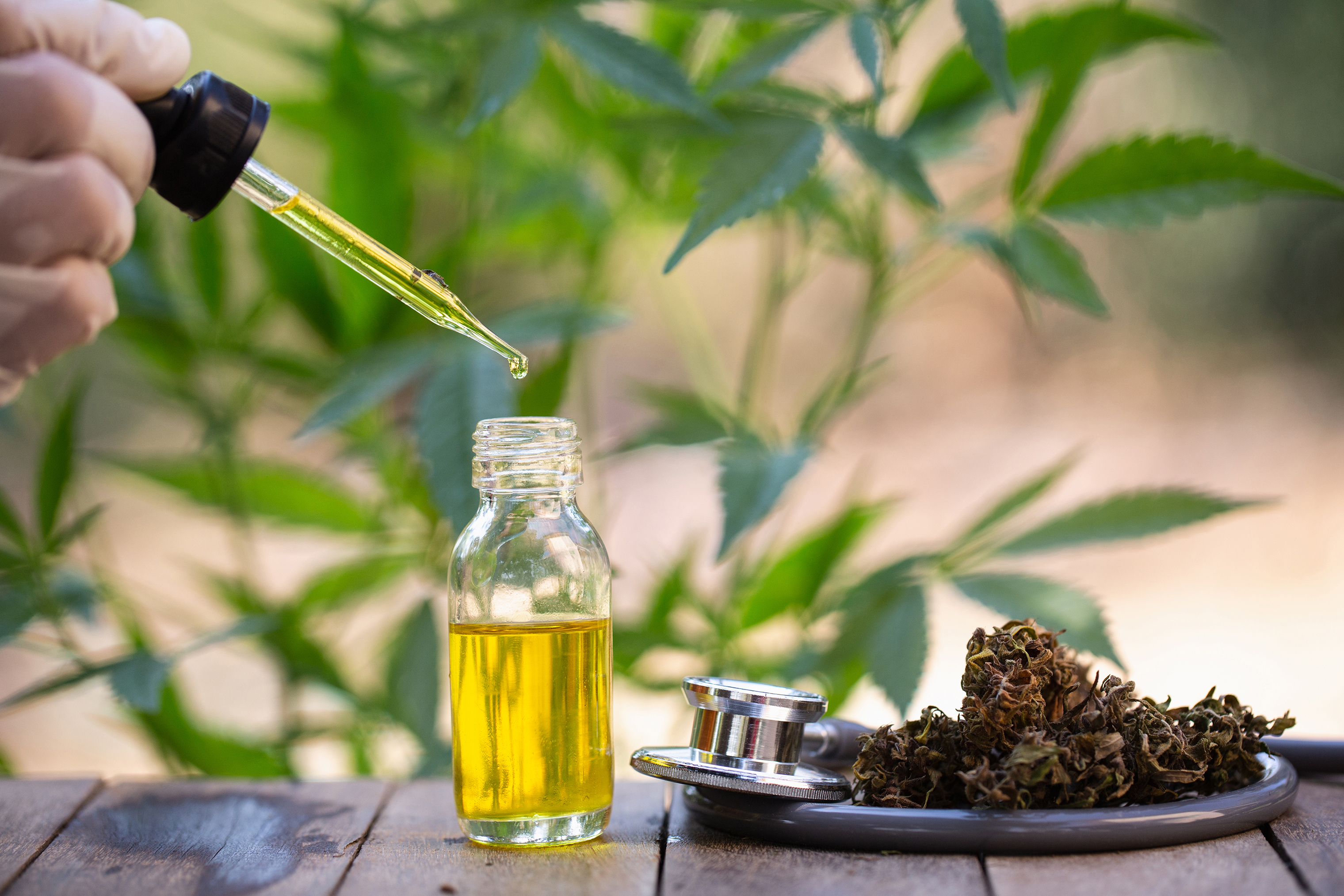 Global Cannabis Indica Oil Market By Industry Growth, Trend and Forecast 2025