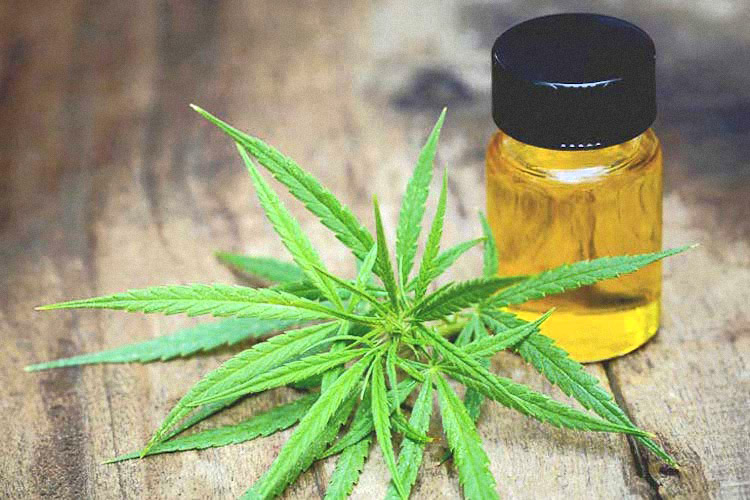 Cannabis Oil Market to Exhibit 49.5% CAGR from 2018-2025