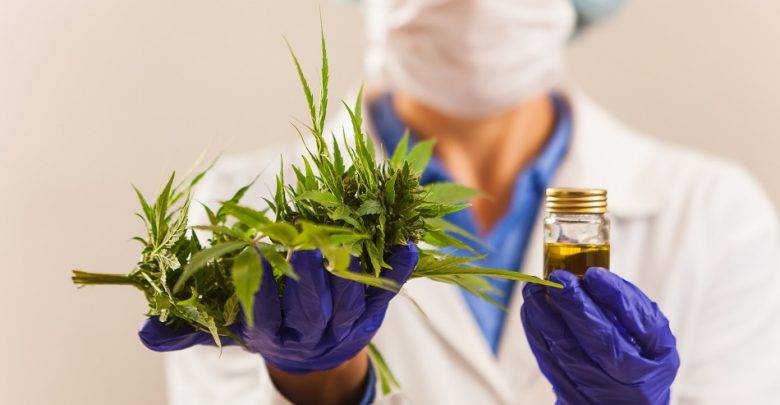 Chromatography Based Cannabis Market to amass Appreciable Gains by 2026
