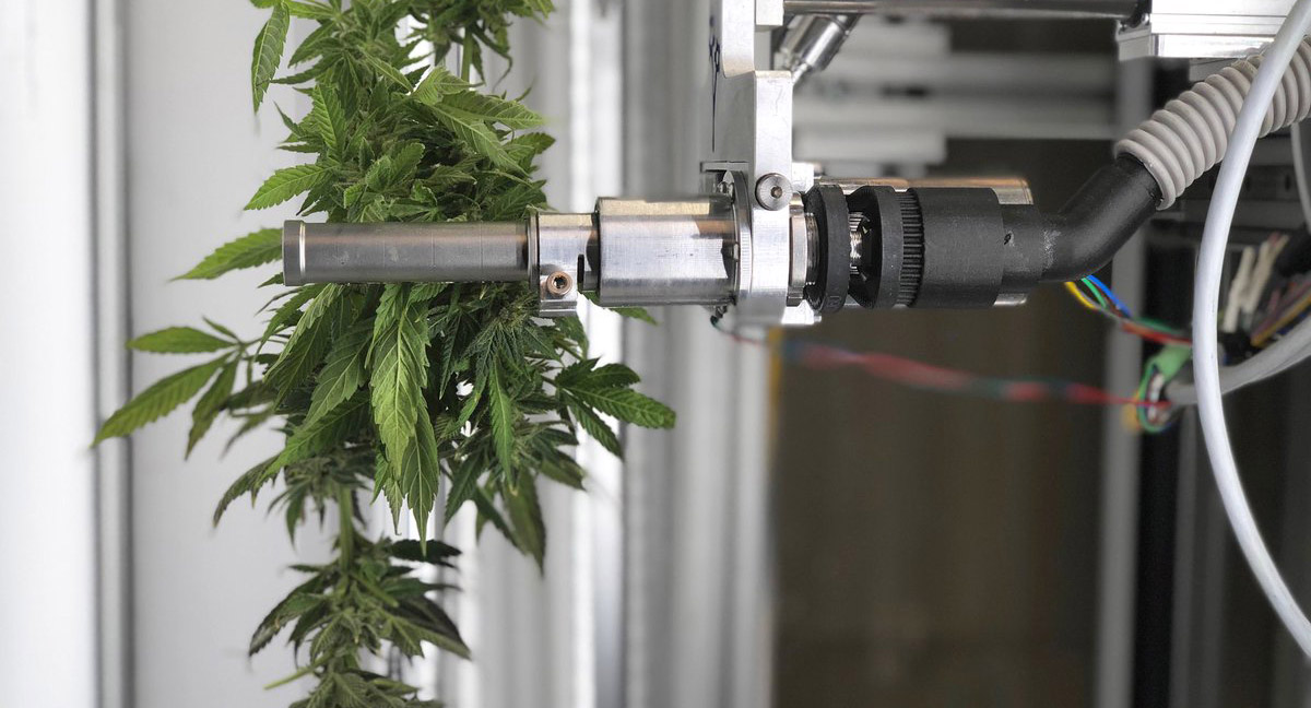 Global Automated Cannabis Testing Market 2020 Size Rising Growth With Manufacturers