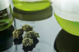 Cannabis Testing Market is Thriving Worldwide with Smart Key Players AB SCIEX LLC, Agilent Technologies, Inc.