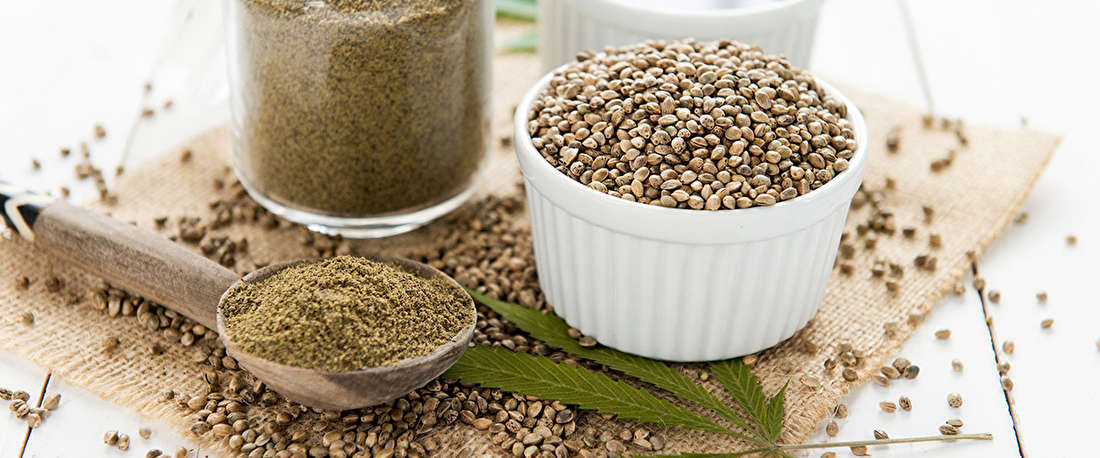 Global Hemp Seed Protein Market to amass Appreciable Gains by 2026