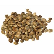 Hemp Seeds Market Top Key Vendors- Hemp Oil Canada, CHII Naturally Pure Hemp, Navitas Naturals, Kenny delights