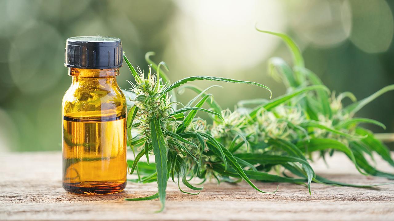 Rising Demand For CBD From Various Industries Thriving The Global Cannabidiol Products Market