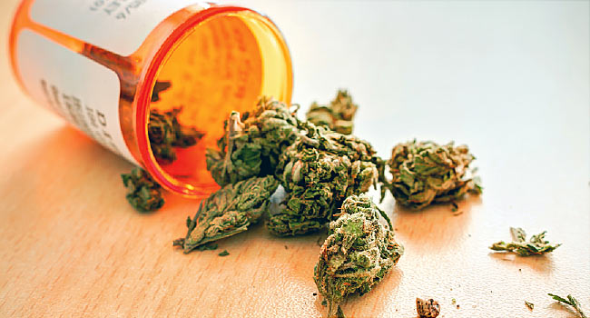 Rising Rate Of Marijuana Legalization To Drive Global Medical Marijuana Market Growth