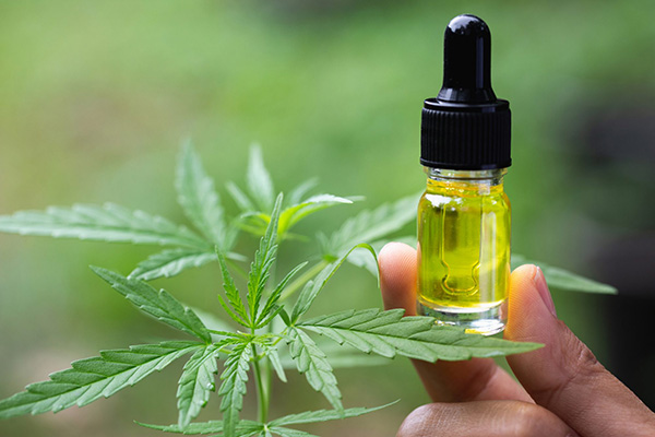 Rising Approval Among People For Cannabis Products To Boost The Global Cannabis Oil Market Growth