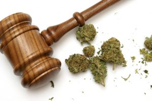 Cannabis Possession Penalties