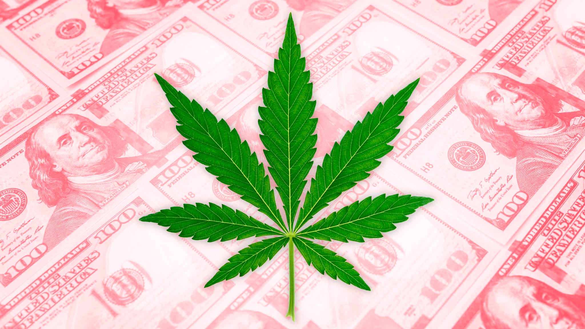 Pistil Data, A Cannabis Market Intellect Platform, Raised USD 6.5 Mn In Funding From Casa Verde And Others
