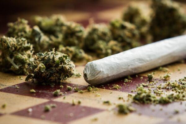 According to the results of a Gallup poll, Americans believe marijuana is better than alcohol