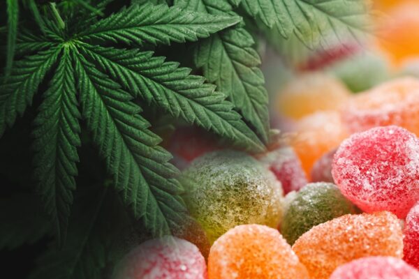 Minnesota’s new edibles law is being challenged in court by marijuana MSO Vireo Health