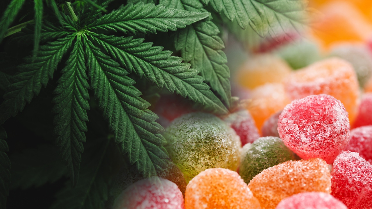 Minnesota's new edibles law is being challenged in court by marijuana MSO Vireo Health