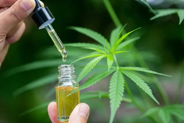 Cannabidiol Trends Shaping the Global Wellness Market