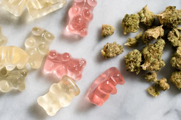Cannabis Gummies: A Beginner’s Guide to Edible Wellness 2025
