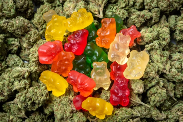 Cannabis Gummies: Market Trends and Consumer Preferences