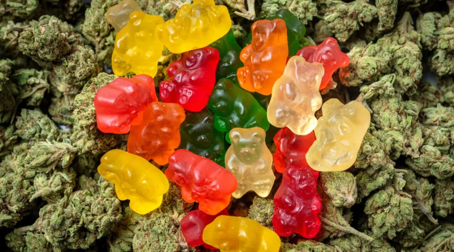 Cannabis Gummies