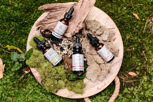 Best CBD for Daily Anxiety Management: 2026 Reviews and Expert Picks