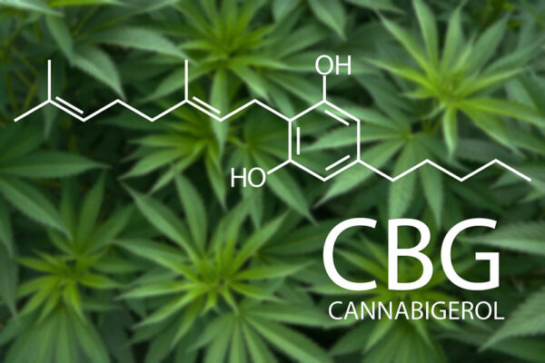 CBG Explained: What Is Cannabigerol and Why It’s Called the Mother Cannabinoid