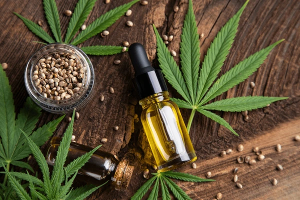 Cannabis Extract: Concentrates for Medical and Recreational Use