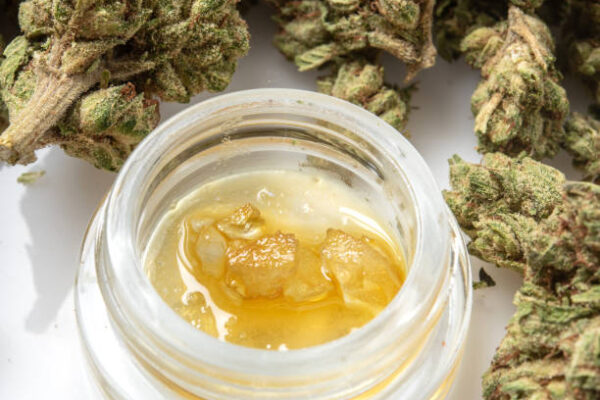 Cannabis Concentrates: Potent Extracts and Consumption Methods